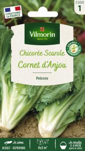 Chicorée Scarole Cornet d'Anjou